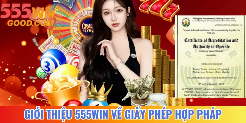 Giới thiệu nền tảng với giấy phép hợp pháp